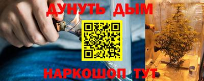 бошки Ставрополь