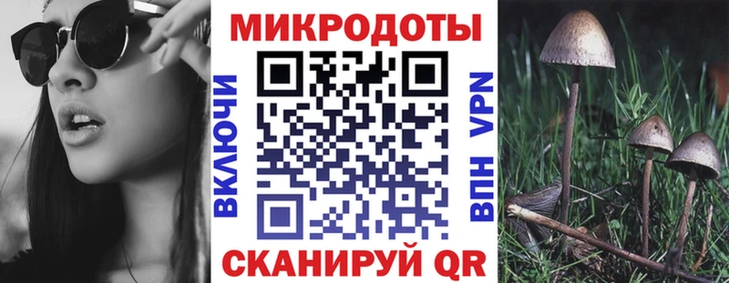 kraken ССЫЛКА  Тихвин  Псилоцибиновые грибы мухоморы 